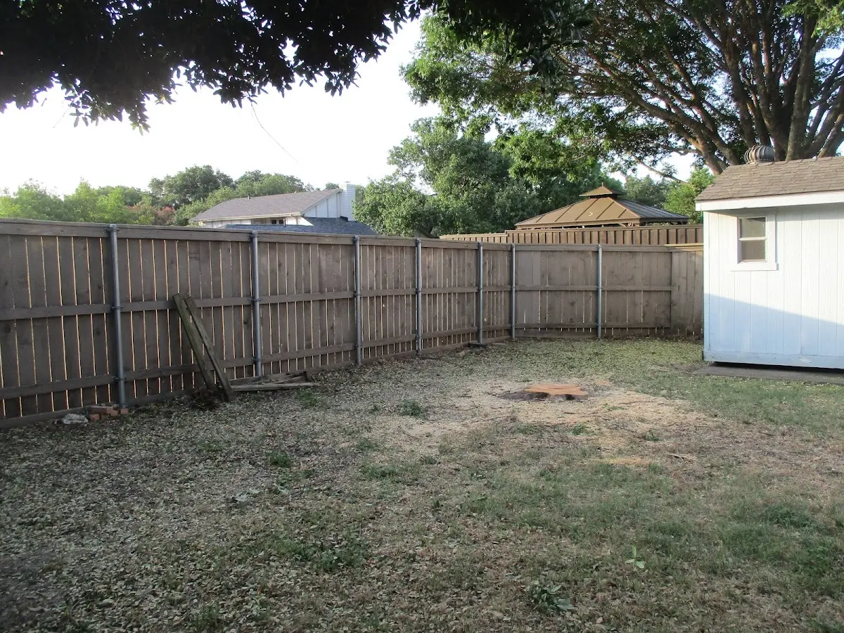 Cleared yard after professional tree removal in Latonia